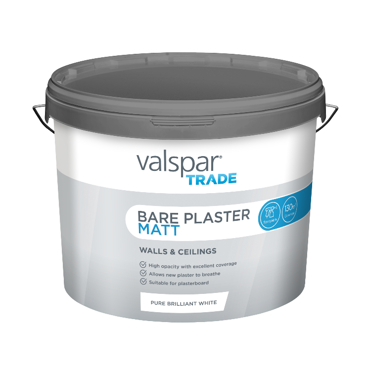 Direct to Plaster