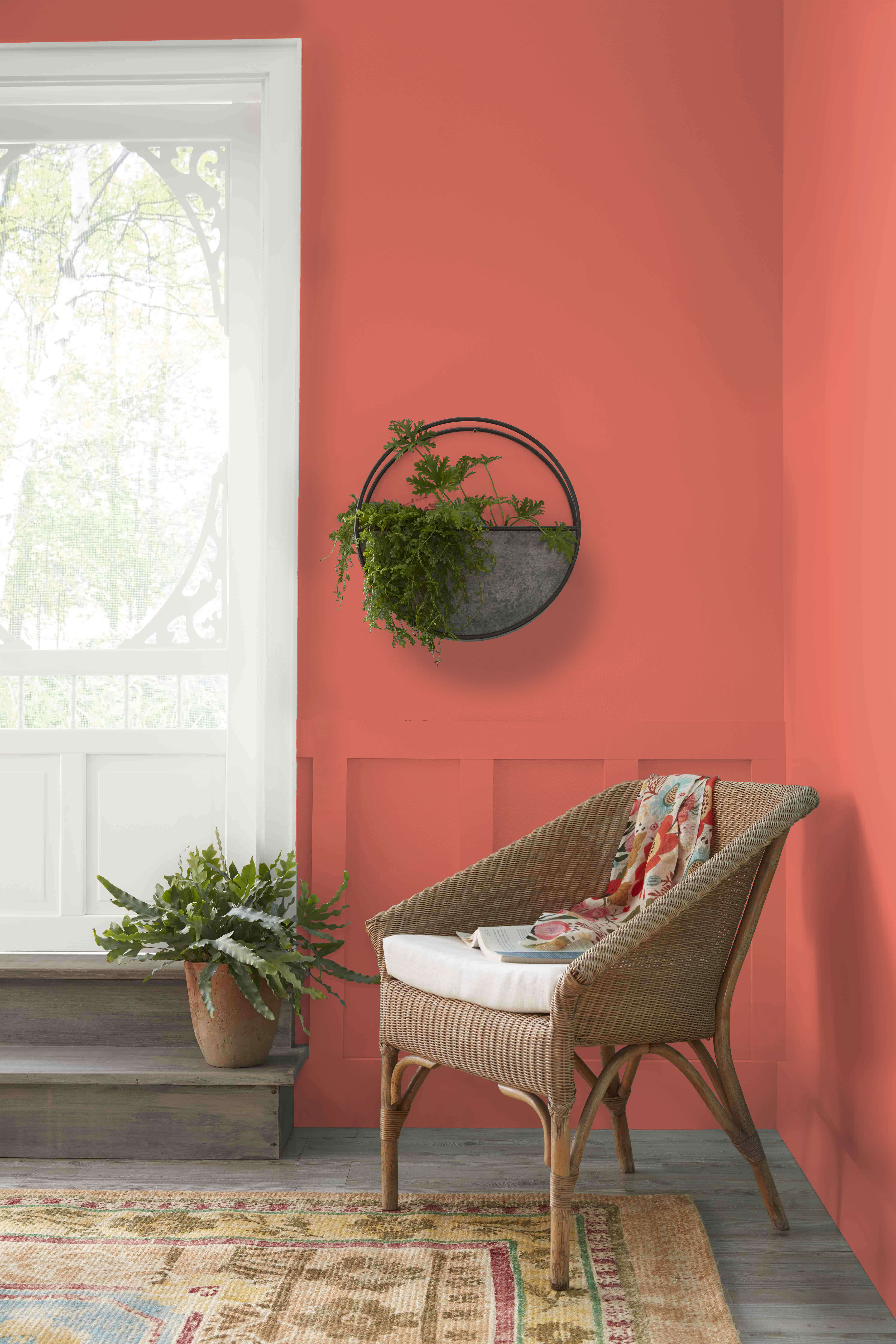 Colour Trends: Living Coral