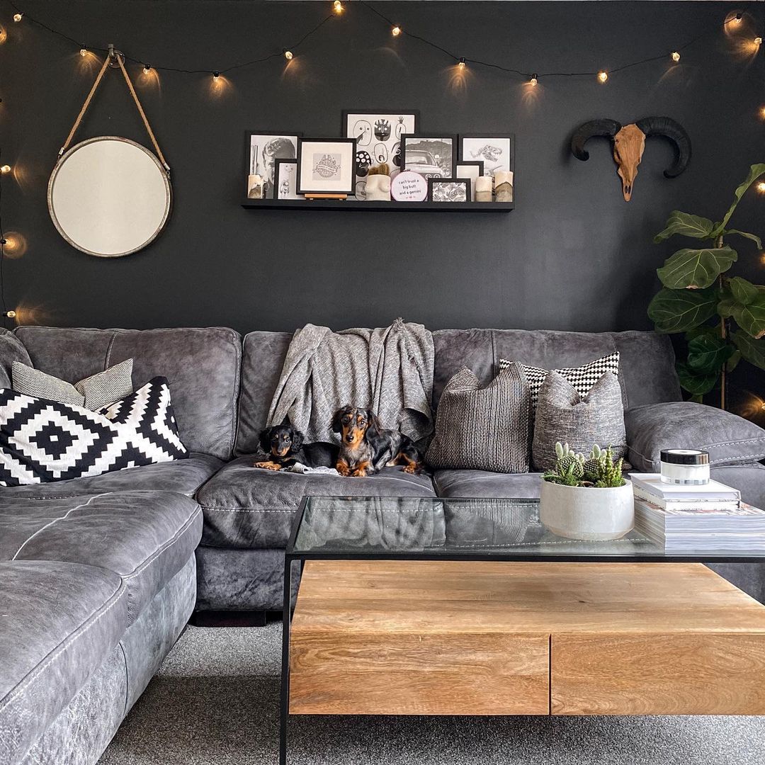 Complementary charcoals