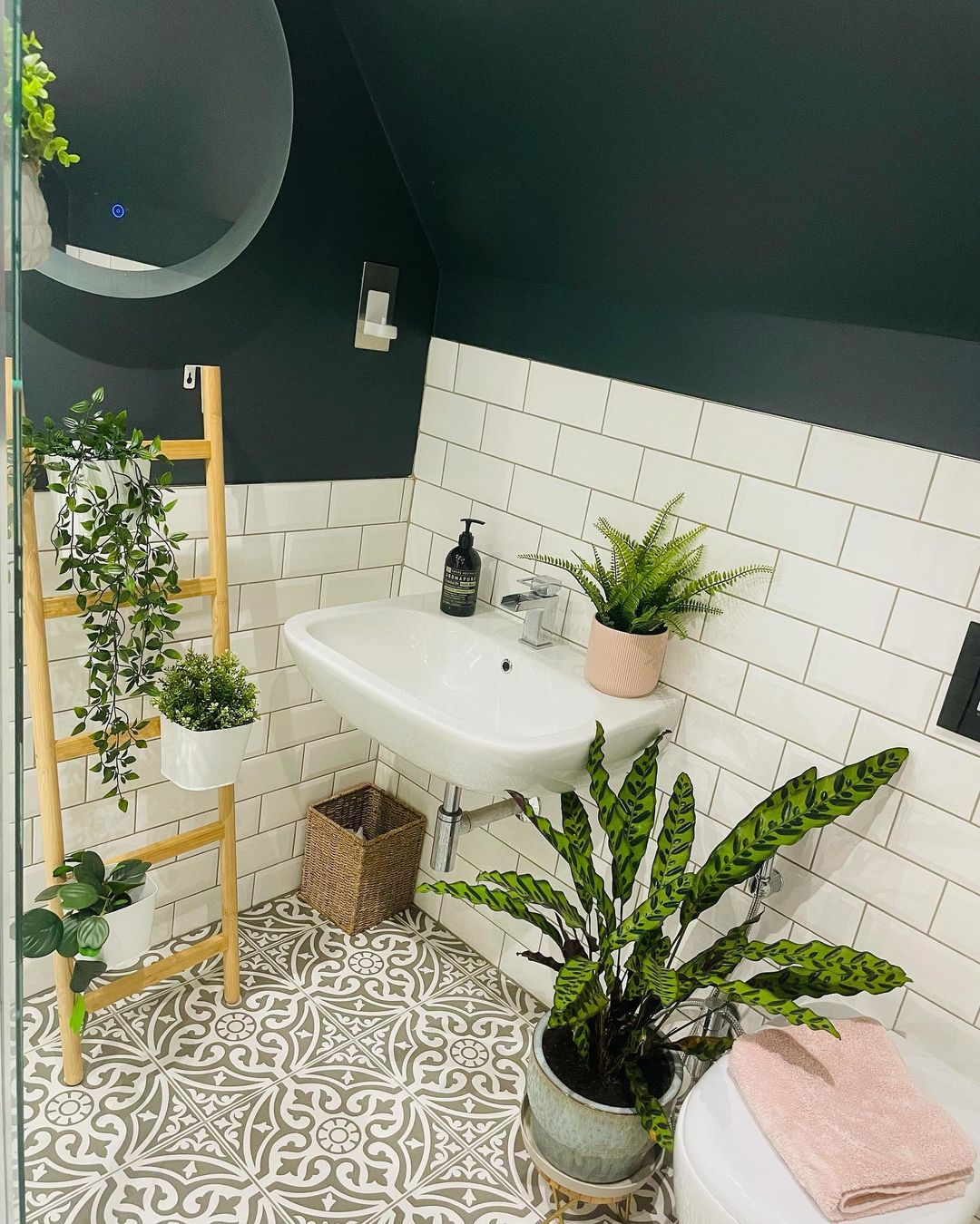 Midnight moon shades