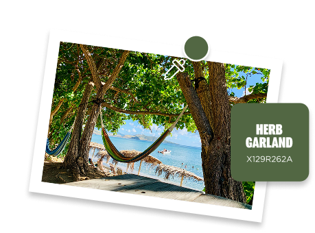 Photo Uploader Promo - July 2025