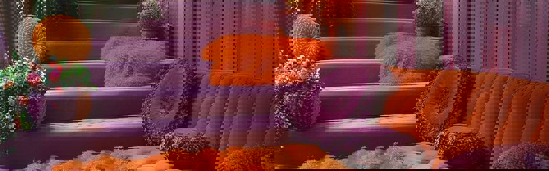 Collection Hero Image