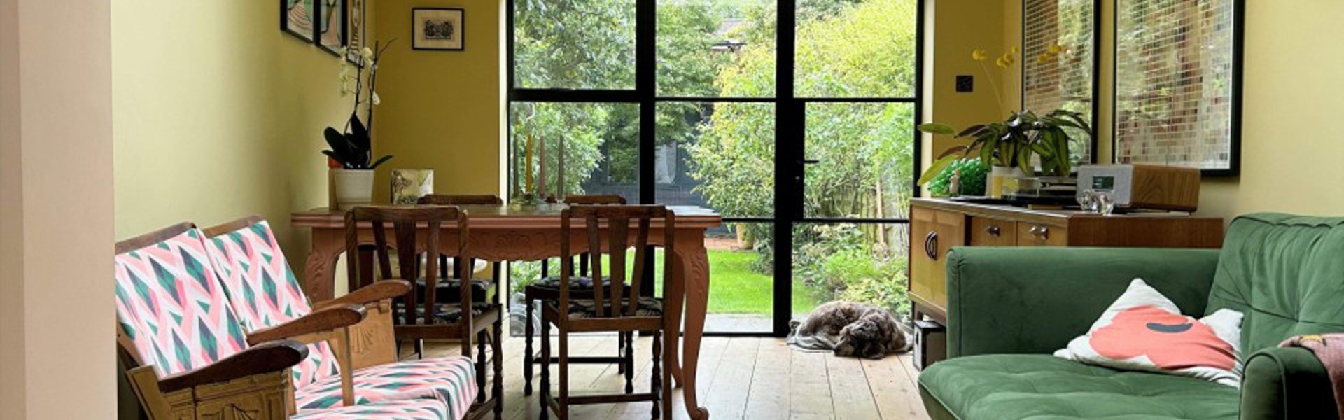 Collection Hero Image