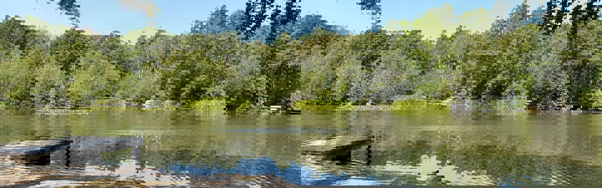 Collection Hero Image