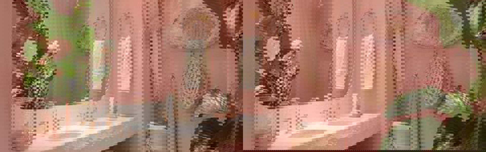 Collection Hero Image