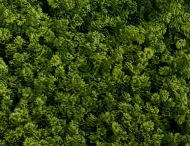 Louise @loulouexplores