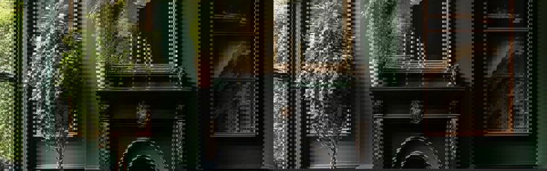 Collection Hero Image