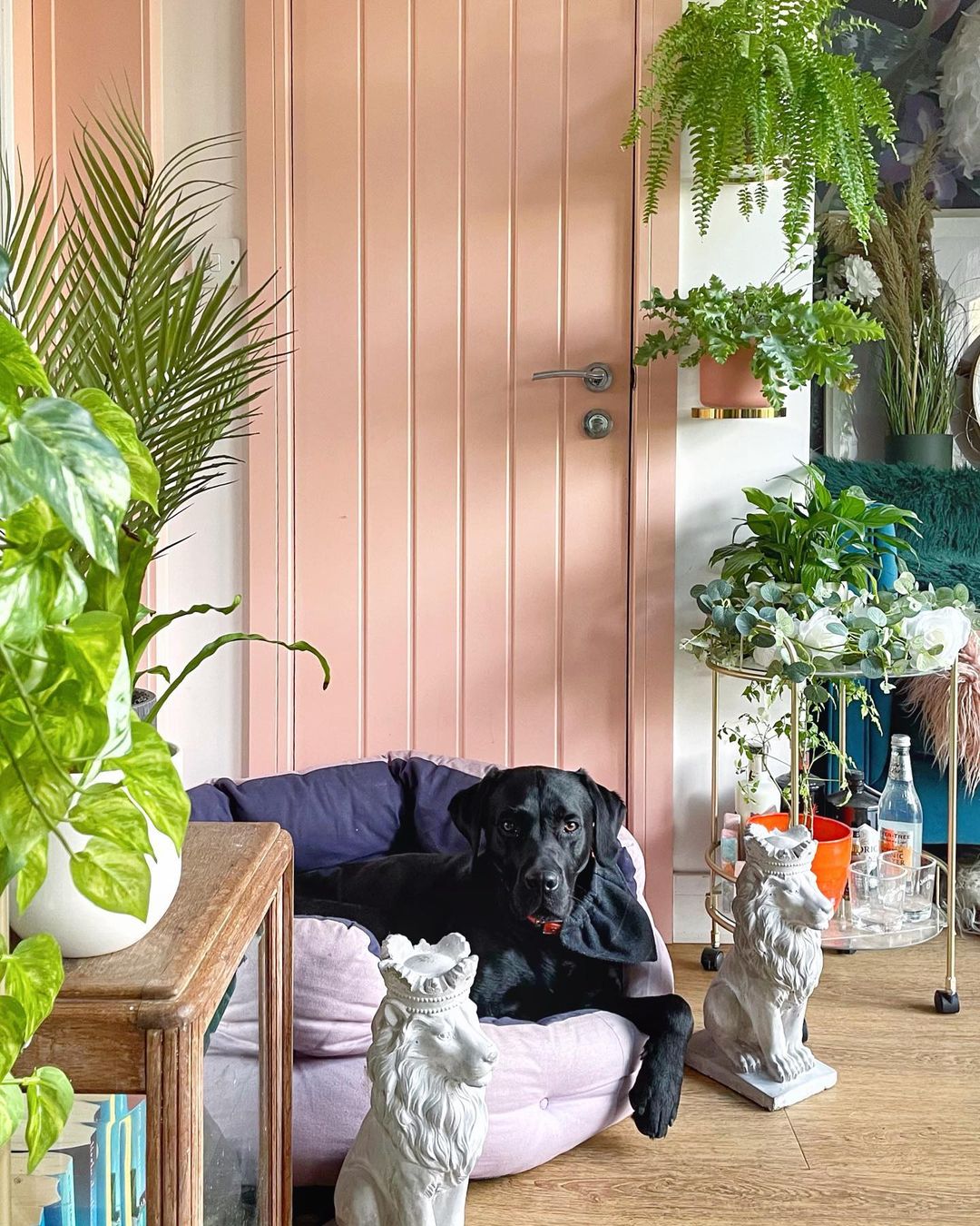 Door frame creativity